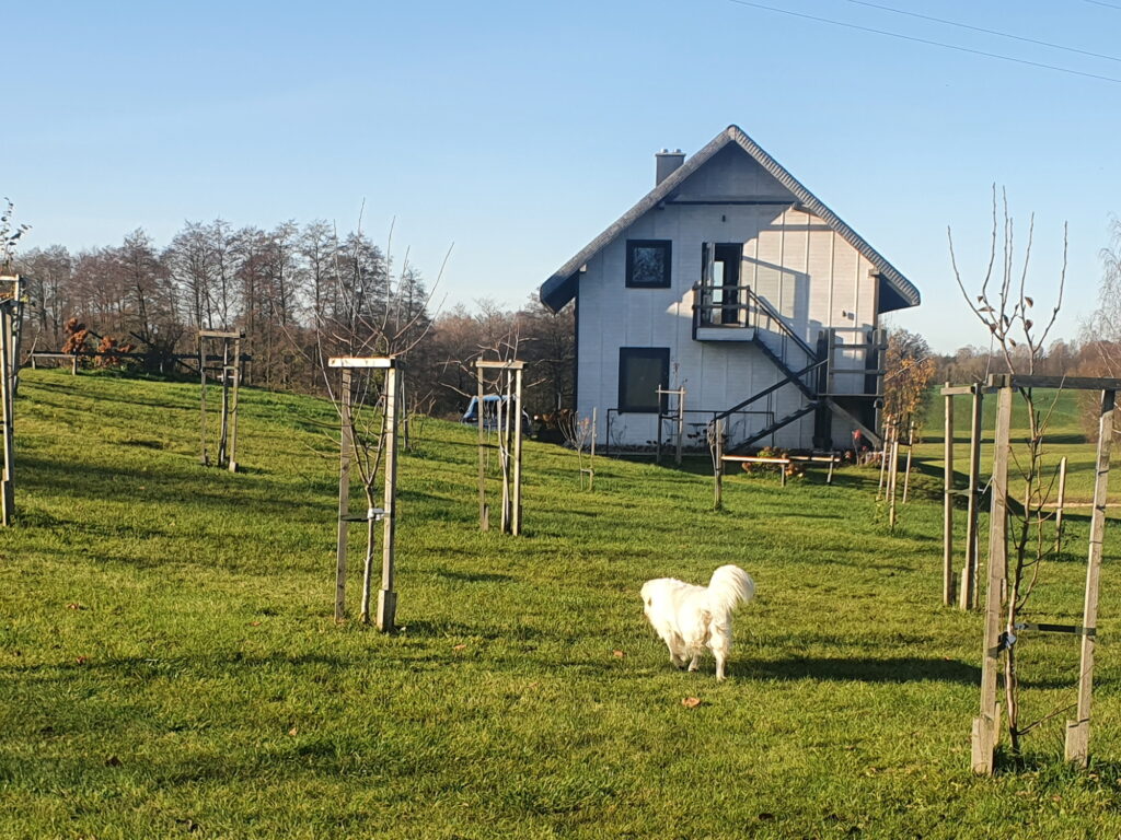 slow wypoczynek jezioro Sejwy Suwalszczyzna Sejny Litwa