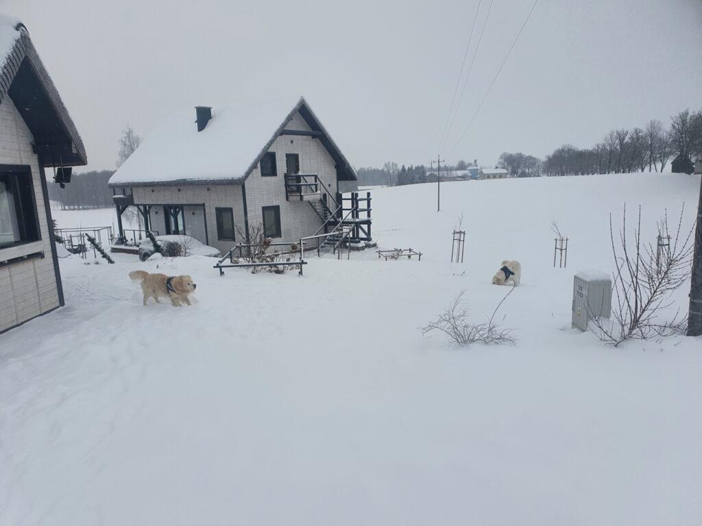 slow wypoczynek jezioro Sejwy Suwalszczyzna Sejny Litwa