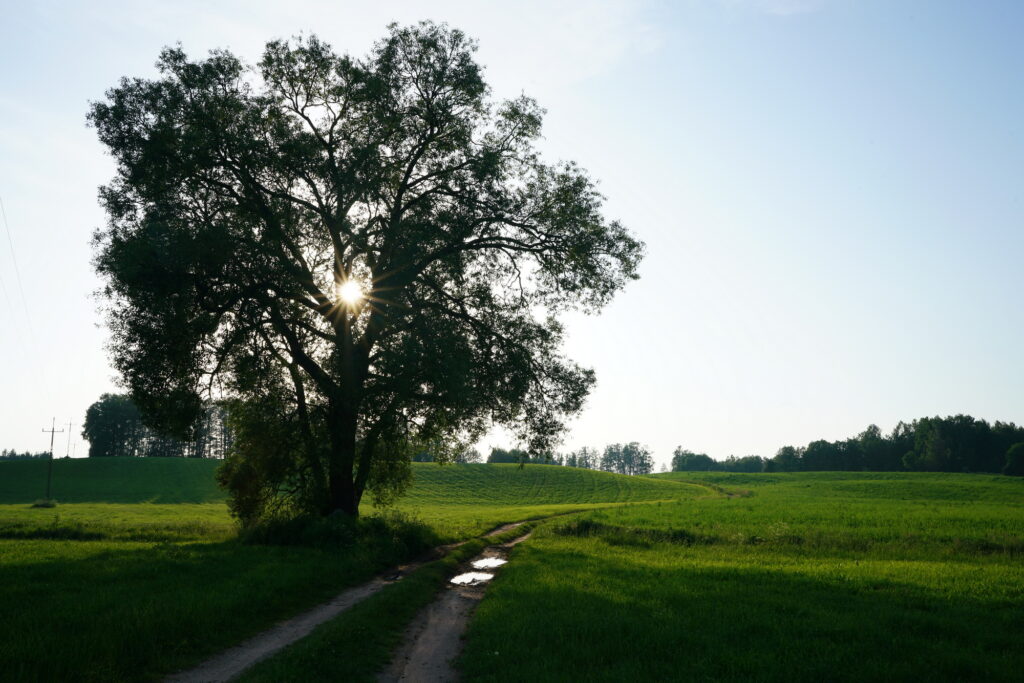 slow wypoczynek jezioro Sejwy Suwalszczyzna Sejny Litwa