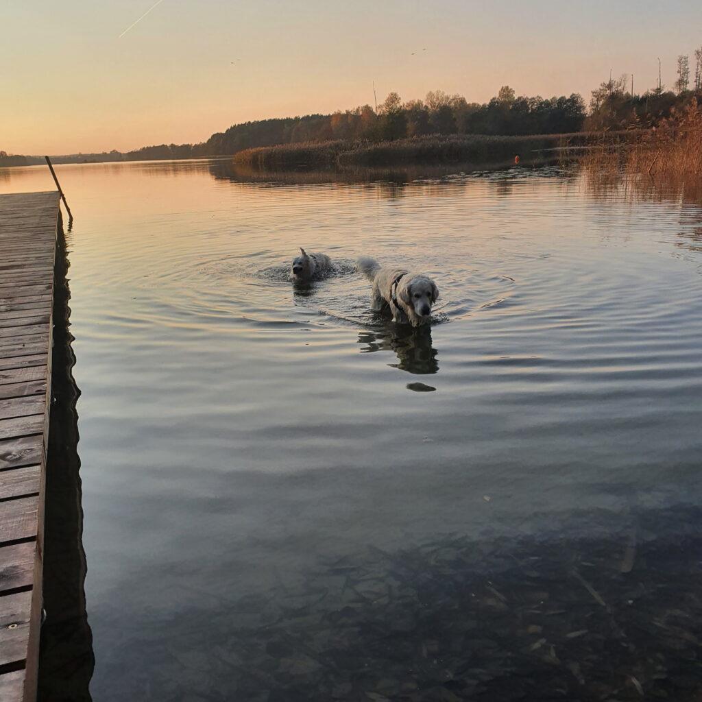 slow wypoczynek jezioro Sejwy Suwalszczyzna Sejny Litwa